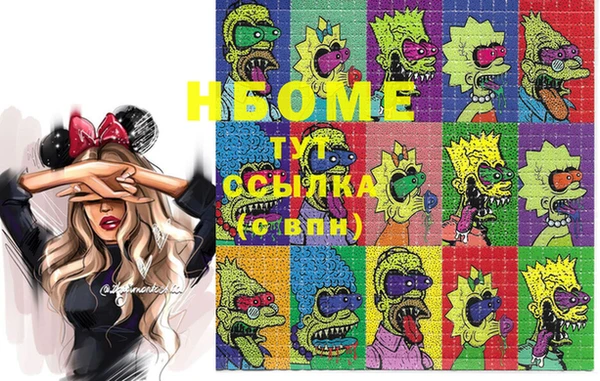 индика Наволоки