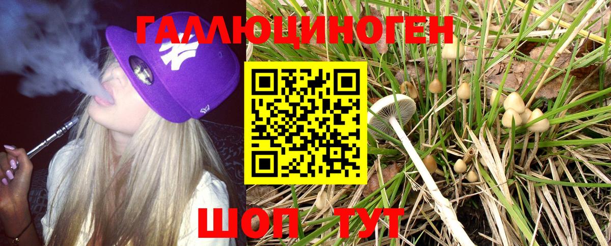 Галлюциногенные грибы GOLDEN TEACHER  Сердобск 